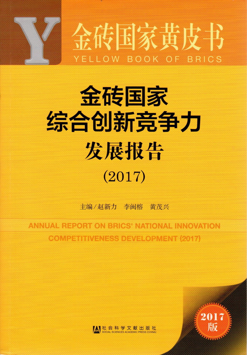 啊啊啊嗯嗯日本影院金砖国家综合创新竞争力发展报告（2017）